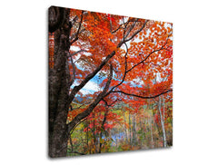 Pittura murale TREES