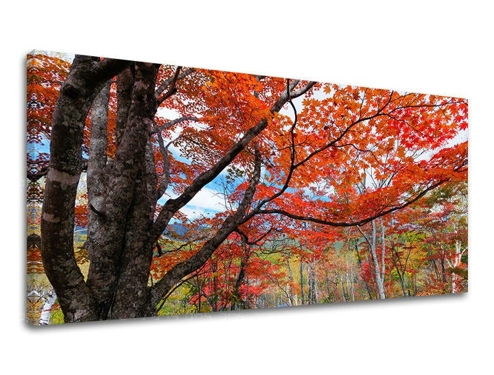 Pittura murale PANORAMA TREES
