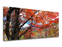 Pittura murale PANORAMA TREES