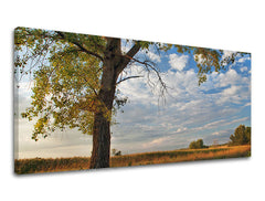Pittura murale PANORAMA TREES