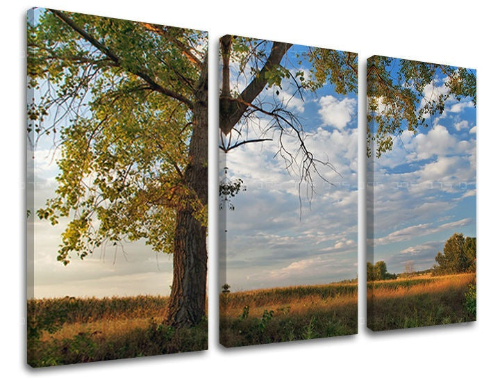 Pittura murale in 3 parti TREES