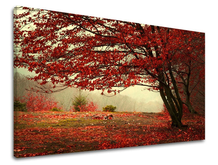 Pittura murale TREES