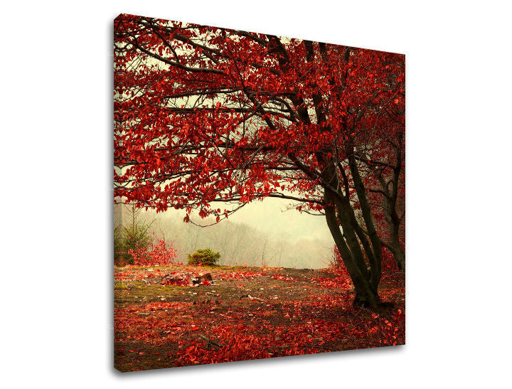 Pittura murale TREES