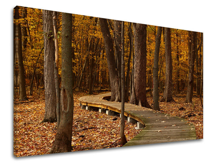 Pittura murale ALBERI | varie dimensioni