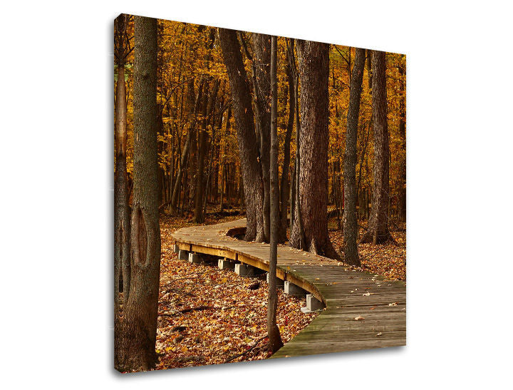Pittura murale TREES