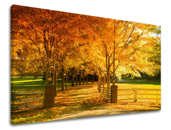 Pittura murale TREES