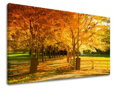 Pittura murale TREES