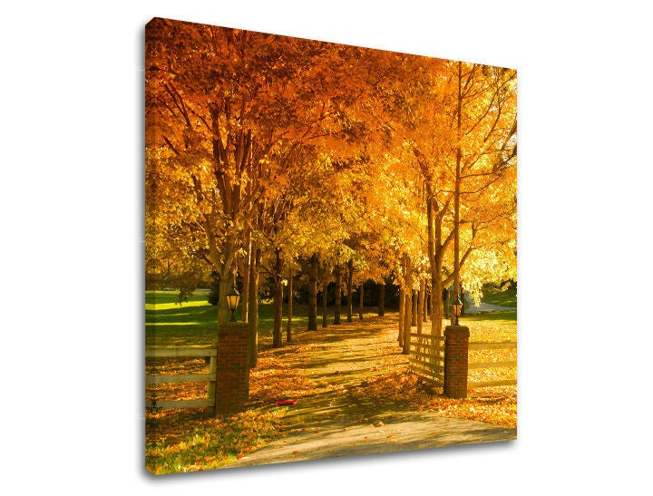 Pittura murale TREES