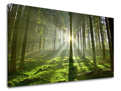 Pittura murale TREES - immagine 2