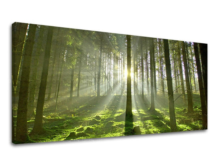 Pittura murale PANORAMA TREES