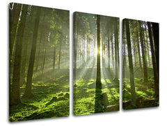 Pittura murale in 3 parti TREES - immagine 2