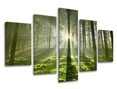 Pittura murale in 5 parti TREES