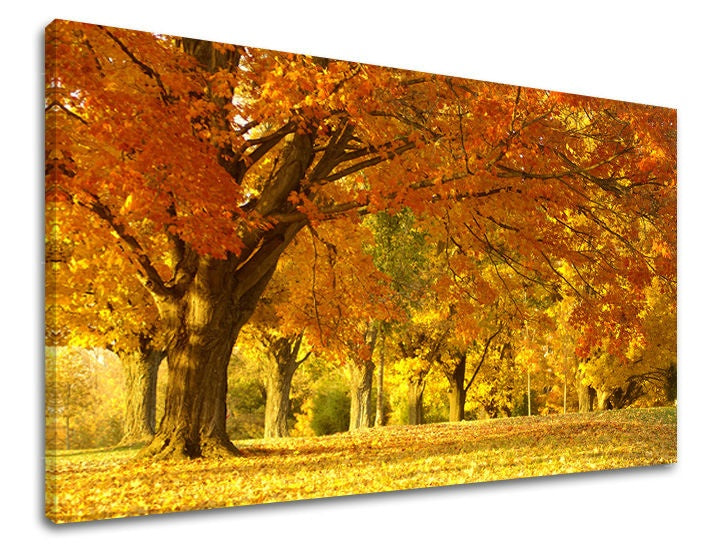 Pittura murale TREES