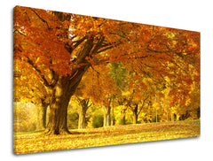 Pittura murale ALBERI | varie dimensioni
