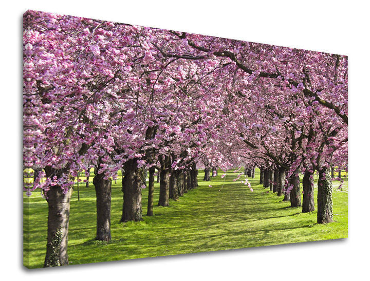 Pittura murale ALBERI | varie dimensioni