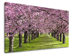 Pittura murale TREES