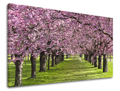 Pittura murale ALBERI | varie dimensioni