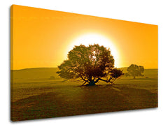 Pittura murale ALBERI | varie dimensioni