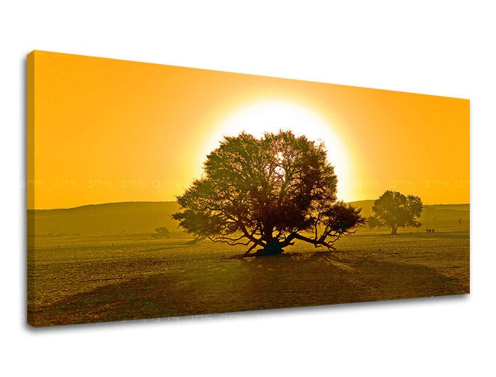 Pittura murale PANORAMA TREES