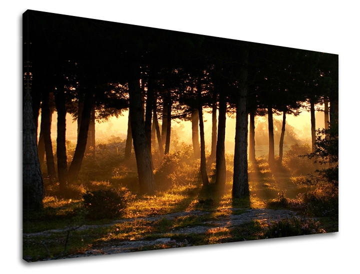 Pittura murale ALBERI | varie dimensioni