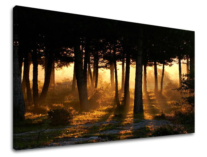 Pittura murale TREES