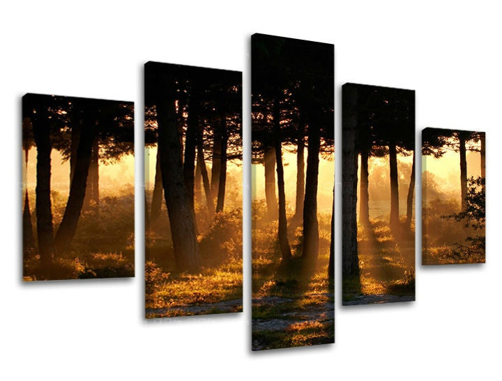 Pittura murale in 5 parti TREES