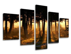 Pittura murale in 5 parti TREES