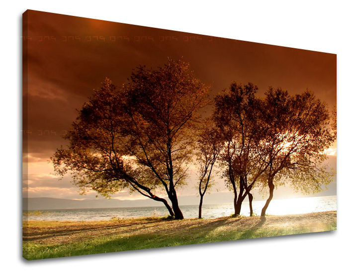 Pittura murale ALBERI | varie dimensioni