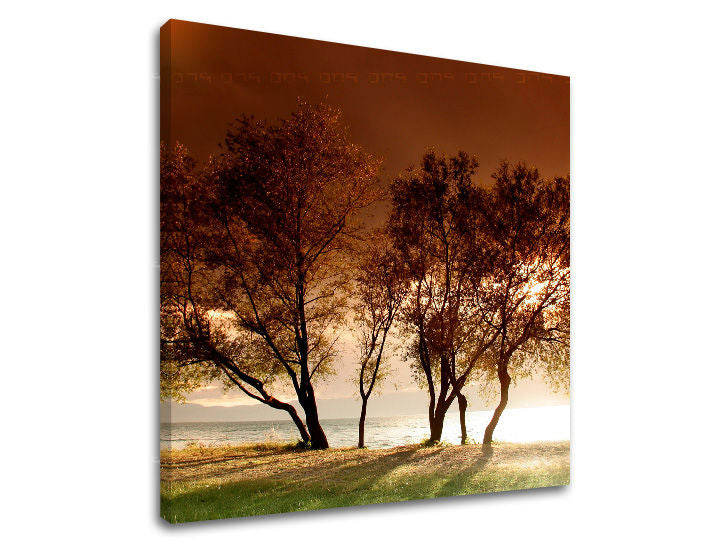 Pittura murale TREES