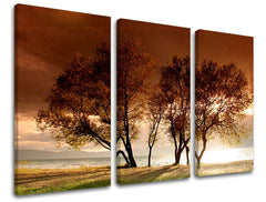 Pittura murale in 3 parti TREES