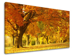 Pittura murale TREES