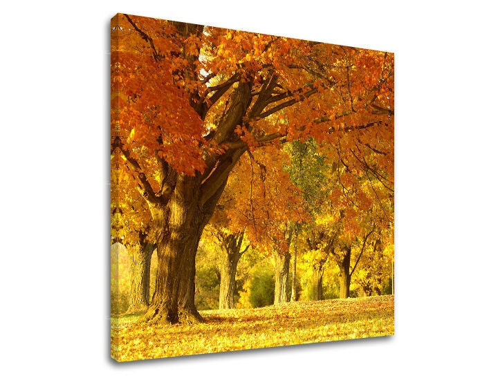 Pittura murale TREES - immagine 2