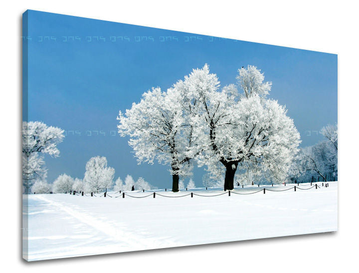 Pittura murale ALBERI | varie dimensioni