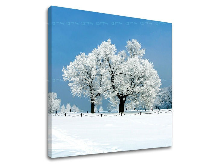 Pittura murale TREES