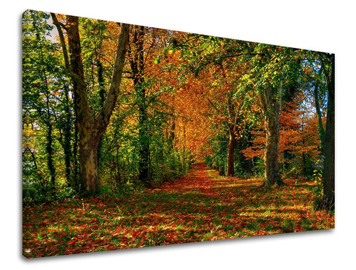 Pittura murale TREES