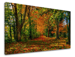 Pittura murale ALBERI | varie dimensioni