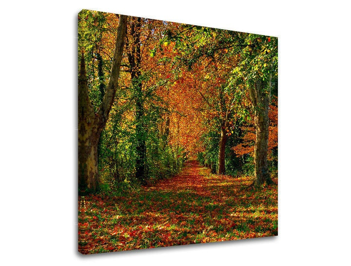 Pittura murale TREES