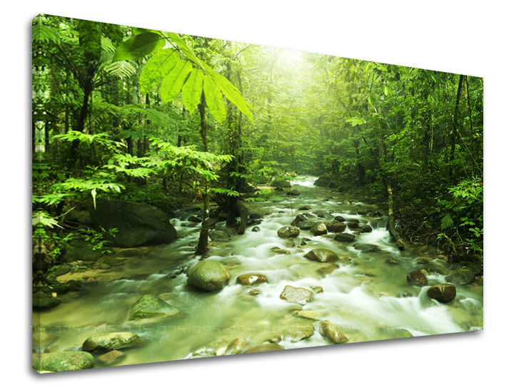Pittura murale ALBERI | varie dimensioni