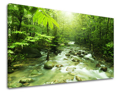 Pittura murale ALBERI | varie dimensioni