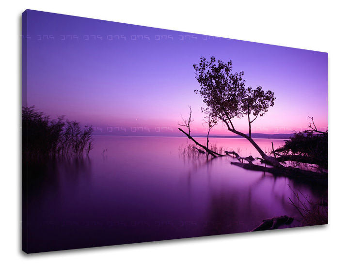 Dipinto murale TRAMONTO | varie dimensioni
