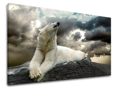 Dipinto murale ANIMALI | varie dimensioni