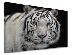 Dipinto murale ANIMALI | varie dimensioni