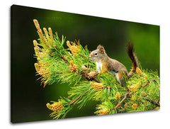 Dipinto murale ANIMALI | varie dimensioni