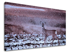 Dipinto murale ANIMALI | varie dimensioni