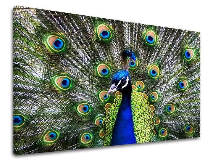 Dipinto murale ANIMALI | varie dimensioni