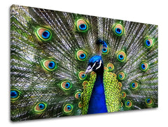 Dipinto murale ANIMALI | varie dimensioni