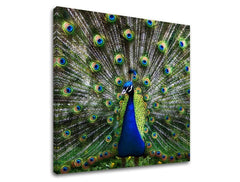 Pittura murale ANIMALI