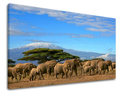Pittura murale ANIMALI