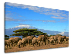 Dipinto murale ANIMALI | varie dimensioni