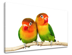 Pittura murale ANIMALI
